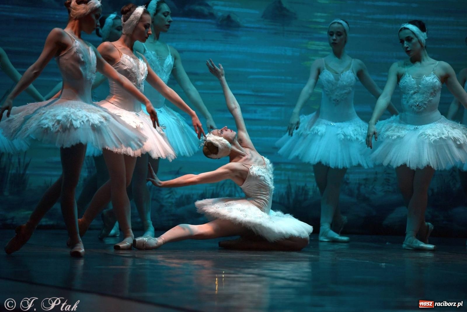 Zdjęcie w galerii na portalu naszraciborz.pl: Royal Ukrainian Ballet z Charkowa wystawił w Raciborzu Jezioro Łabędzie [FOTO i WIDEO] wiadomości z regionu