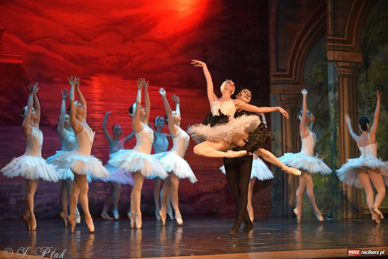 Zdjęcie w galerii na portalu naszraciborz.pl: Royal Ukrainian Ballet z Charkowa wystawił w Raciborzu Jezioro Łabędzie [FOTO i WIDEO] wiadomości z regionu