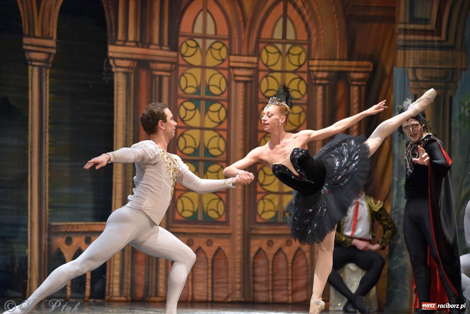 Zdjęcie w galerii na portalu naszraciborz.pl: Royal Ukrainian Ballet z Charkowa wystawił w Raciborzu Jezioro Łabędzie [FOTO i WIDEO] wiadomości z regionu
