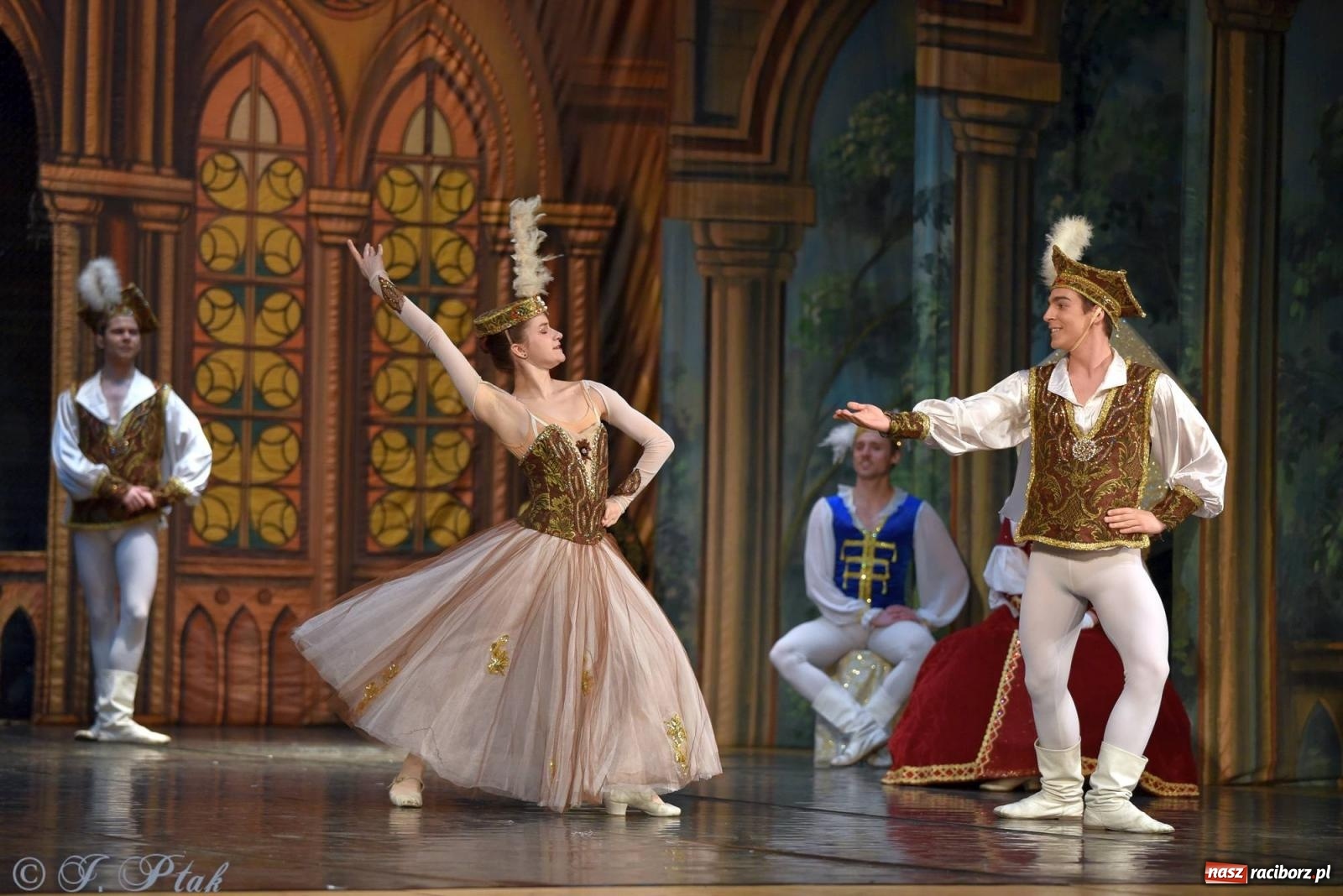 Zdjęcie w galerii na portalu naszraciborz.pl: Royal Ukrainian Ballet z Charkowa wystawił w Raciborzu Jezioro Łabędzie [FOTO i WIDEO] wiadomości z regionu