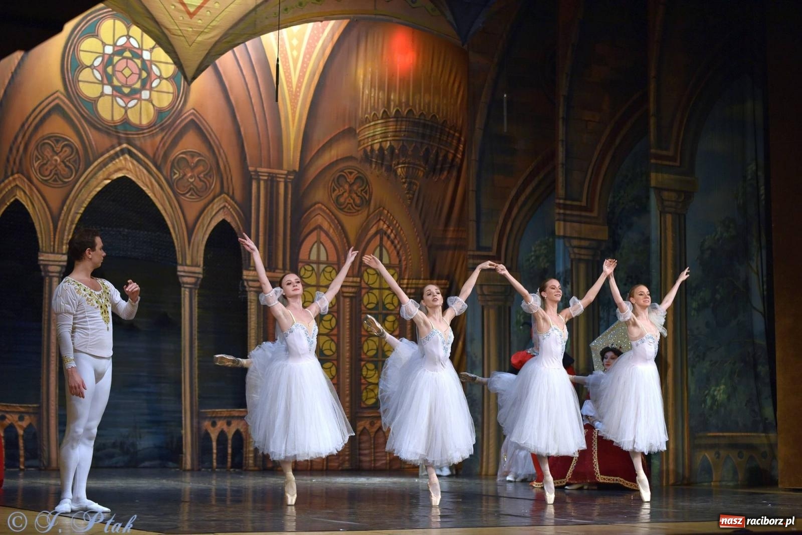 Zdjęcie w galerii na portalu naszraciborz.pl: Royal Ukrainian Ballet z Charkowa wystawił w Raciborzu Jezioro Łabędzie [FOTO i WIDEO] wiadomości z regionu