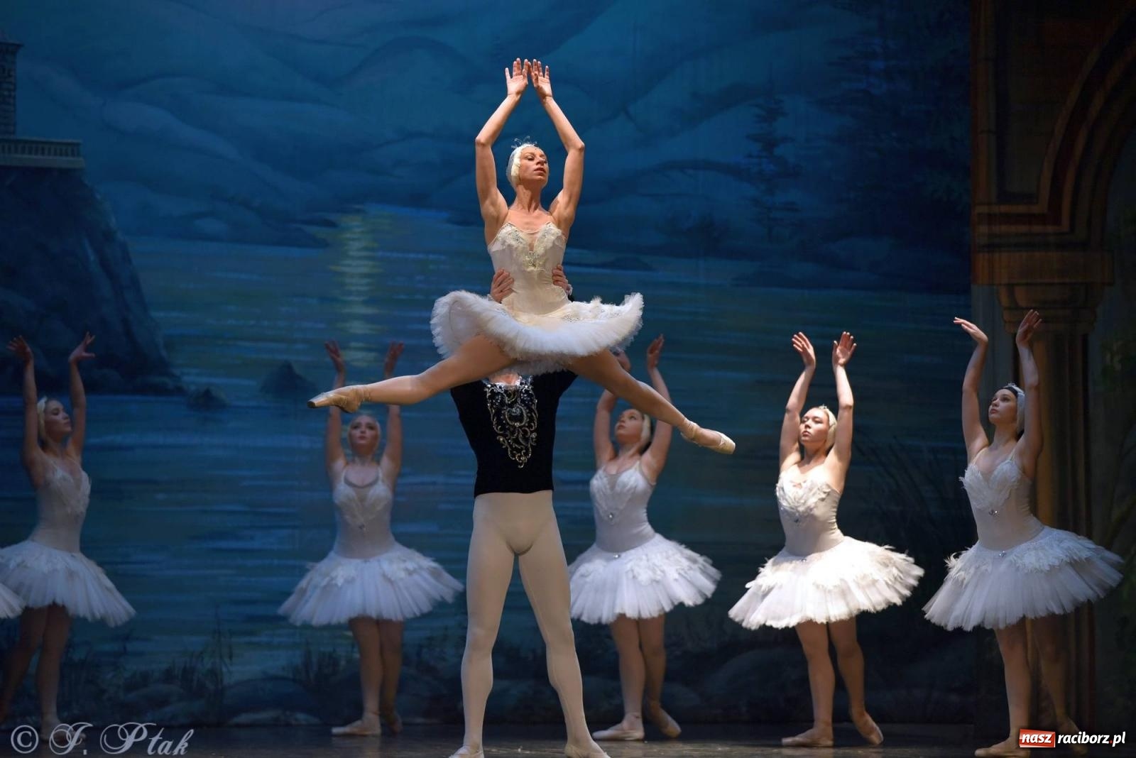 Zdjęcie w galerii na portalu naszraciborz.pl: Royal Ukrainian Ballet z Charkowa wystawił w Raciborzu Jezioro Łabędzie [FOTO i WIDEO] wiadomości z regionu
