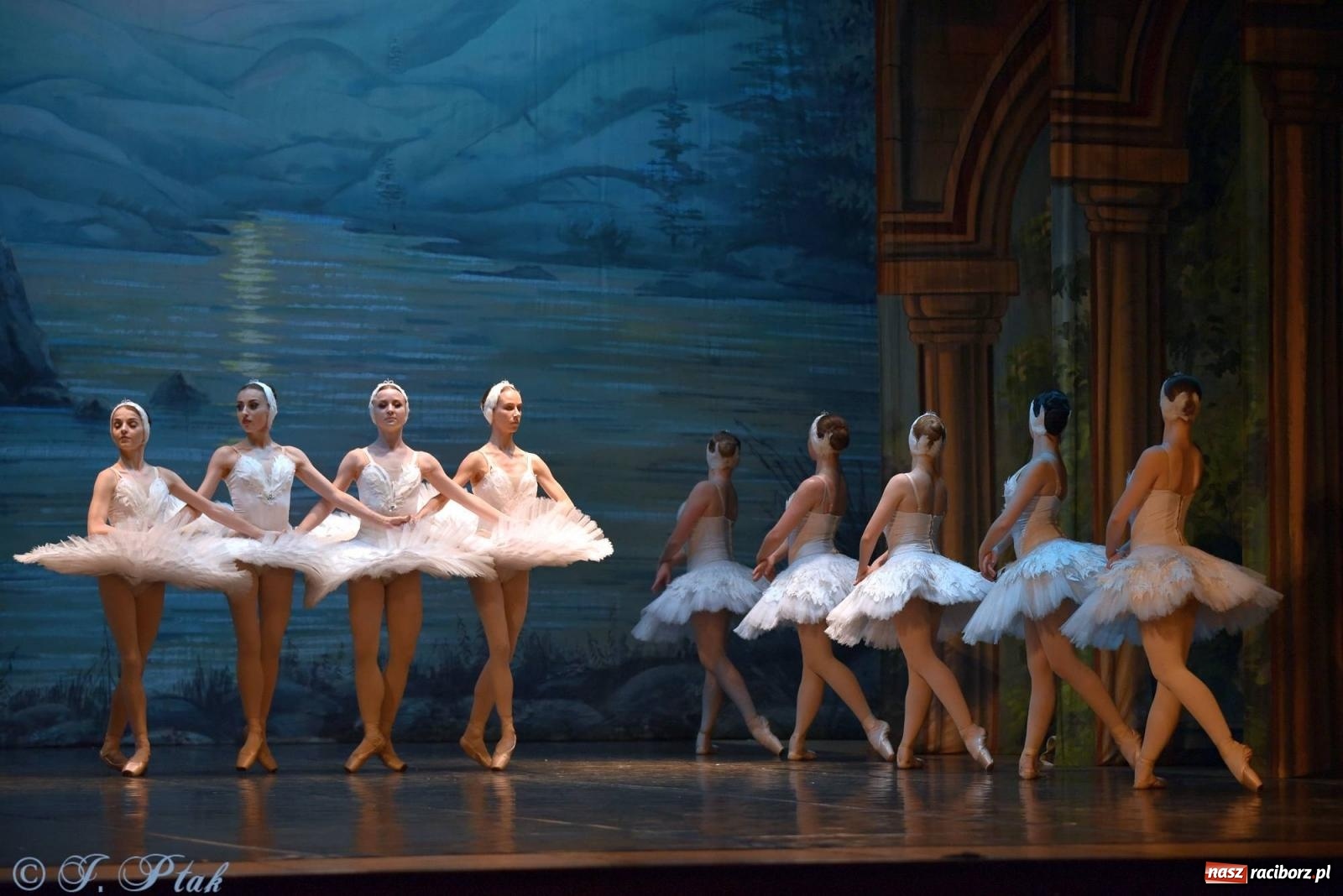 Zdjęcie w galerii na portalu naszraciborz.pl: Royal Ukrainian Ballet z Charkowa wystawił w Raciborzu Jezioro Łabędzie [FOTO i WIDEO] wiadomości z regionu