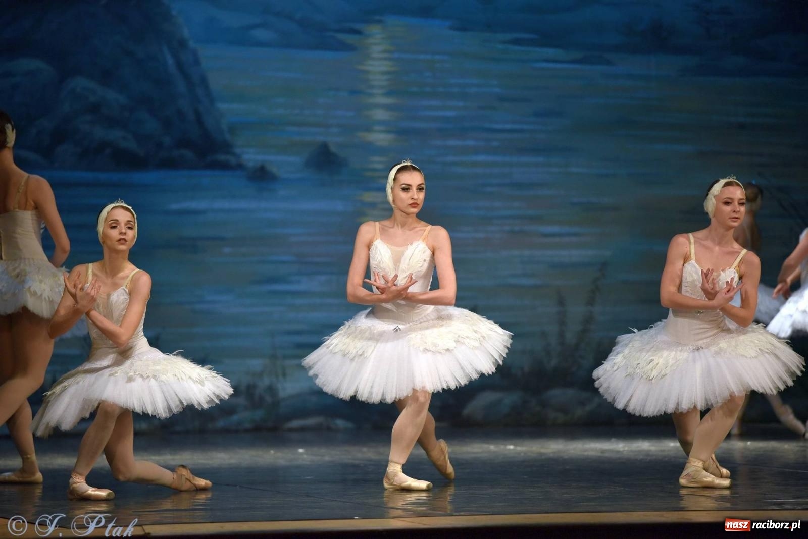Zdjęcie w galerii na portalu naszraciborz.pl: Royal Ukrainian Ballet z Charkowa wystawił w Raciborzu Jezioro Łabędzie [FOTO i WIDEO] wiadomości z regionu
