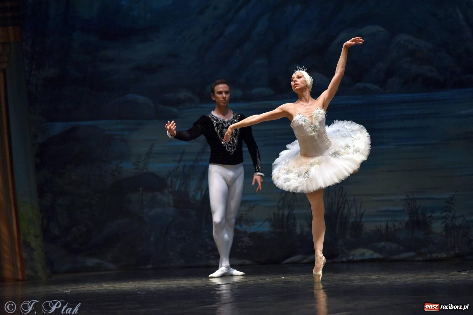 Zdjęcie w galerii na portalu naszraciborz.pl: Royal Ukrainian Ballet z Charkowa wystawił w Raciborzu Jezioro Łabędzie [FOTO i WIDEO] wiadomości z regionu