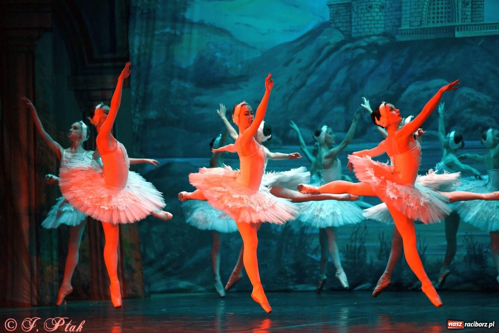 Zdjęcie w galerii na portalu naszraciborz.pl: Royal Ukrainian Ballet z Charkowa wystawił w Raciborzu Jezioro Łabędzie [FOTO i WIDEO] wiadomości z regionu