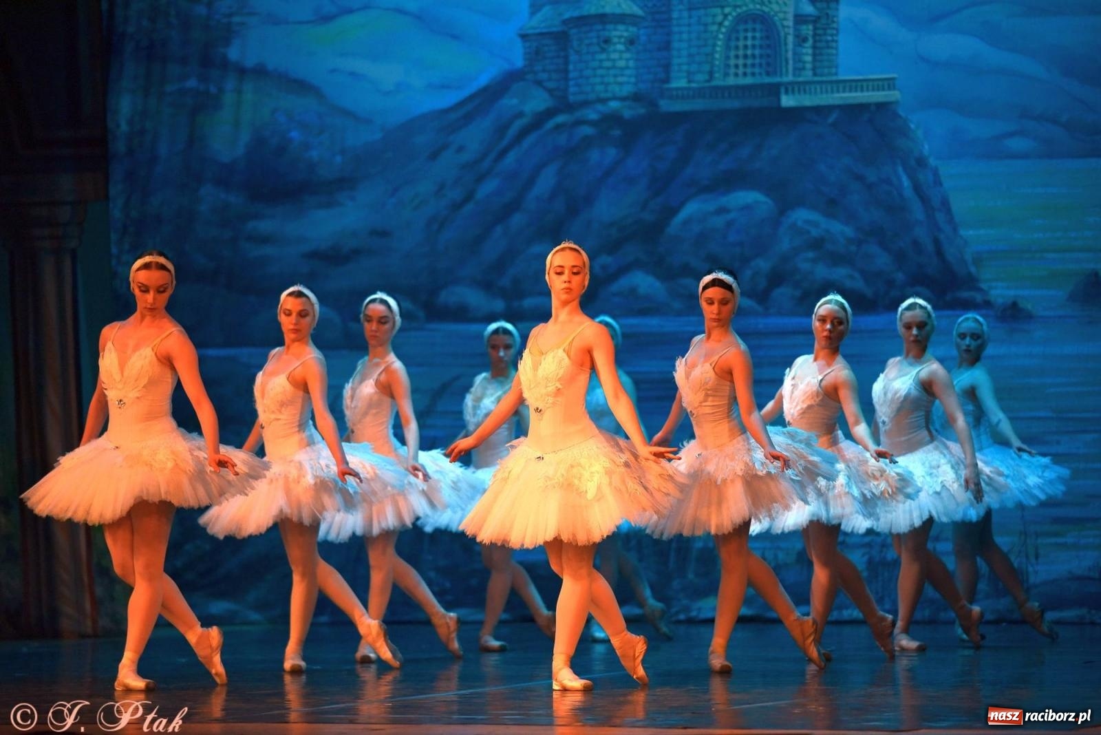Zdjęcie w galerii na portalu naszraciborz.pl: Royal Ukrainian Ballet z Charkowa wystawił w Raciborzu Jezioro Łabędzie [FOTO i WIDEO] wiadomości z regionu