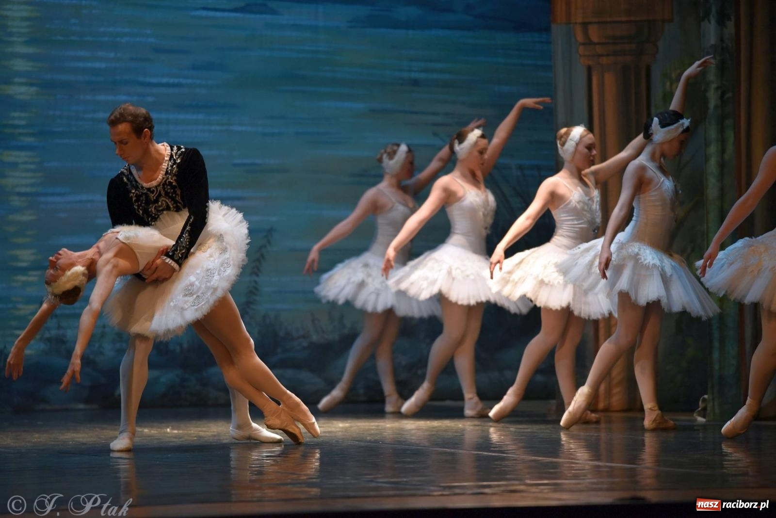 Zdjęcie w galerii na portalu naszraciborz.pl: Royal Ukrainian Ballet z Charkowa wystawił w Raciborzu Jezioro Łabędzie [FOTO i WIDEO] wiadomości z regionu