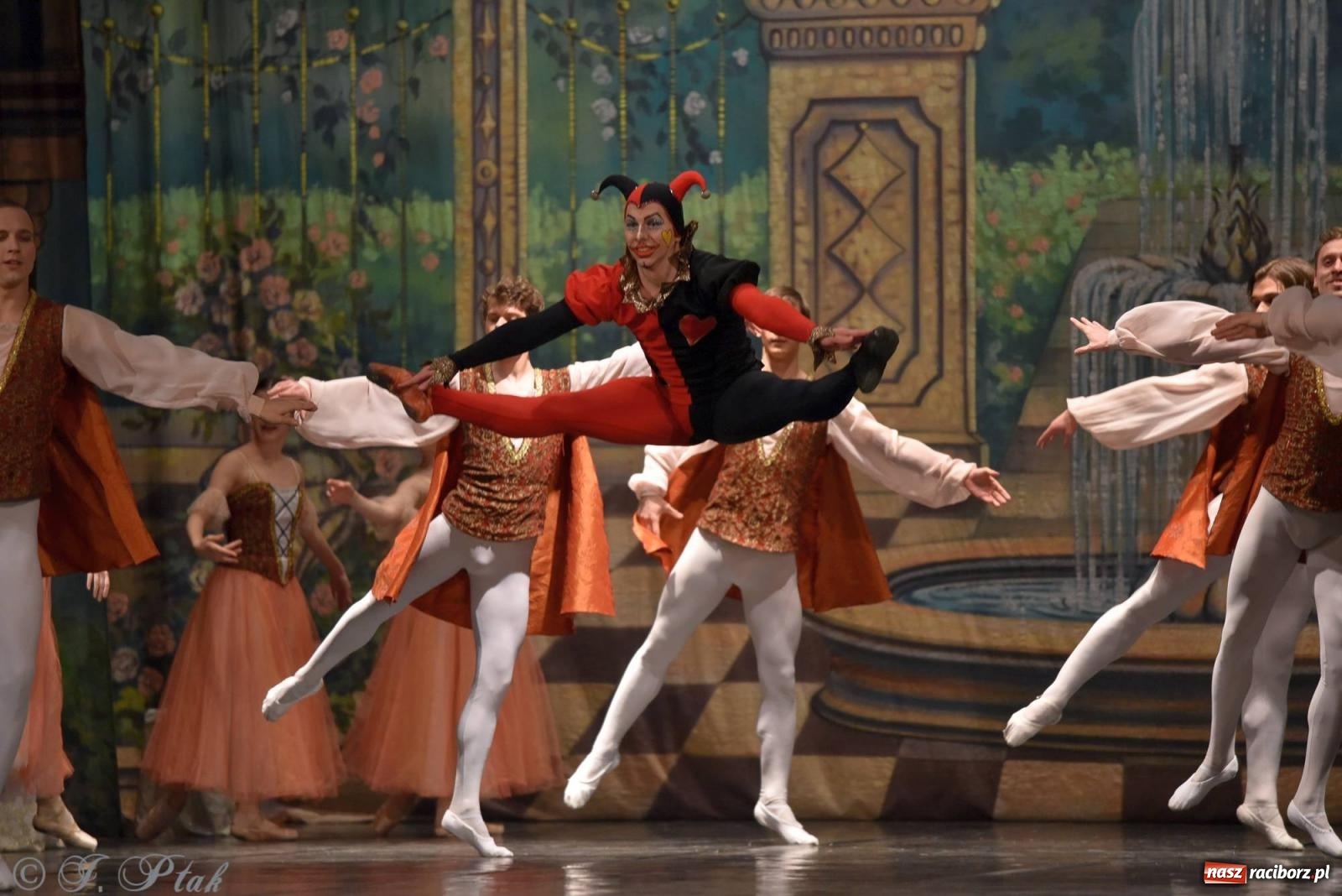 Zdjęcie w galerii na portalu naszraciborz.pl: Royal Ukrainian Ballet z Charkowa wystawił w Raciborzu Jezioro Łabędzie [FOTO i WIDEO] wiadomości z regionu