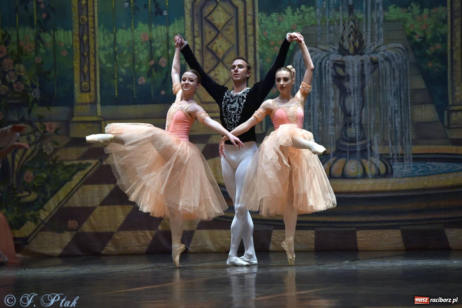 Zdjęcie w galerii na portalu naszraciborz.pl: Royal Ukrainian Ballet z Charkowa wystawił w Raciborzu Jezioro Łabędzie [FOTO i WIDEO] wiadomości z regionu