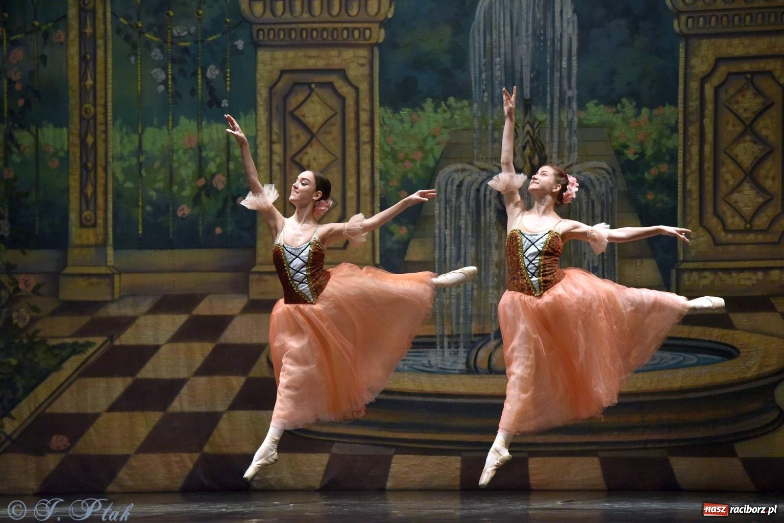 Zdjęcie w galerii na portalu naszraciborz.pl: Royal Ukrainian Ballet z Charkowa wystawił w Raciborzu Jezioro Łabędzie [FOTO i WIDEO] wiadomości z regionu