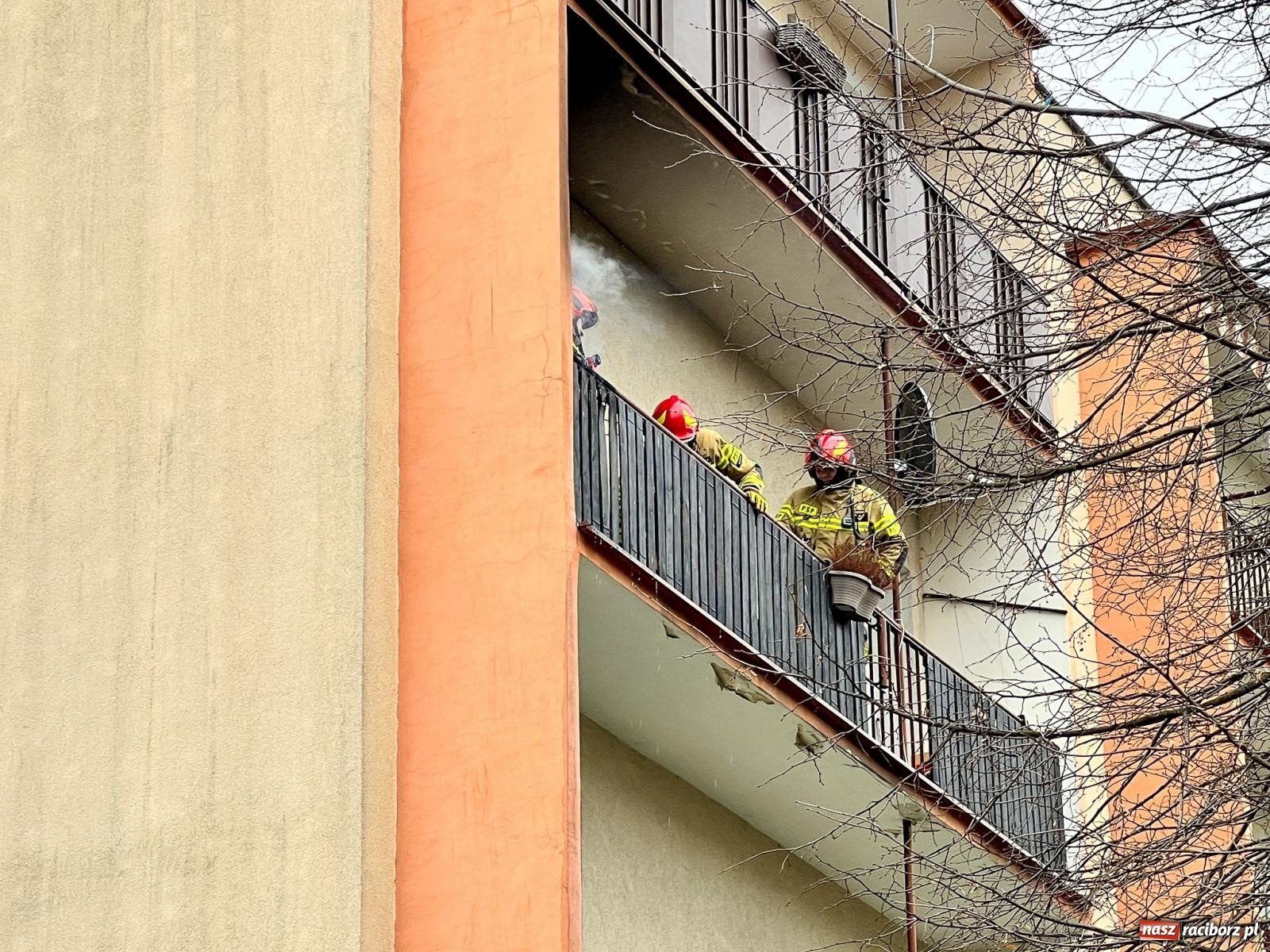 Zdjęcie w galerii na portalu naszraciborz.pl: Akcja strażaków na Odpoczynkowej w Raciborzu [FOTO i WIDEO] wiadomości z regionu