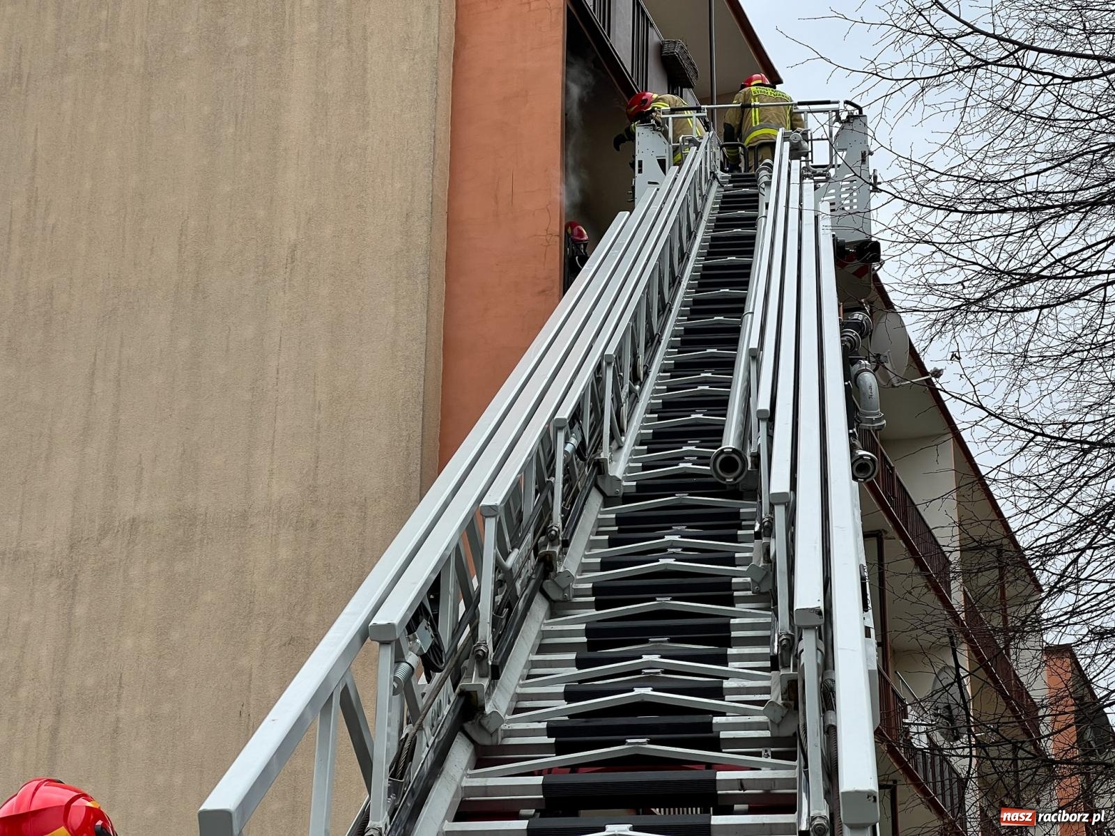 Zdjęcie w galerii na portalu naszraciborz.pl: Akcja strażaków na Odpoczynkowej w Raciborzu [FOTO i WIDEO] wiadomości z regionu