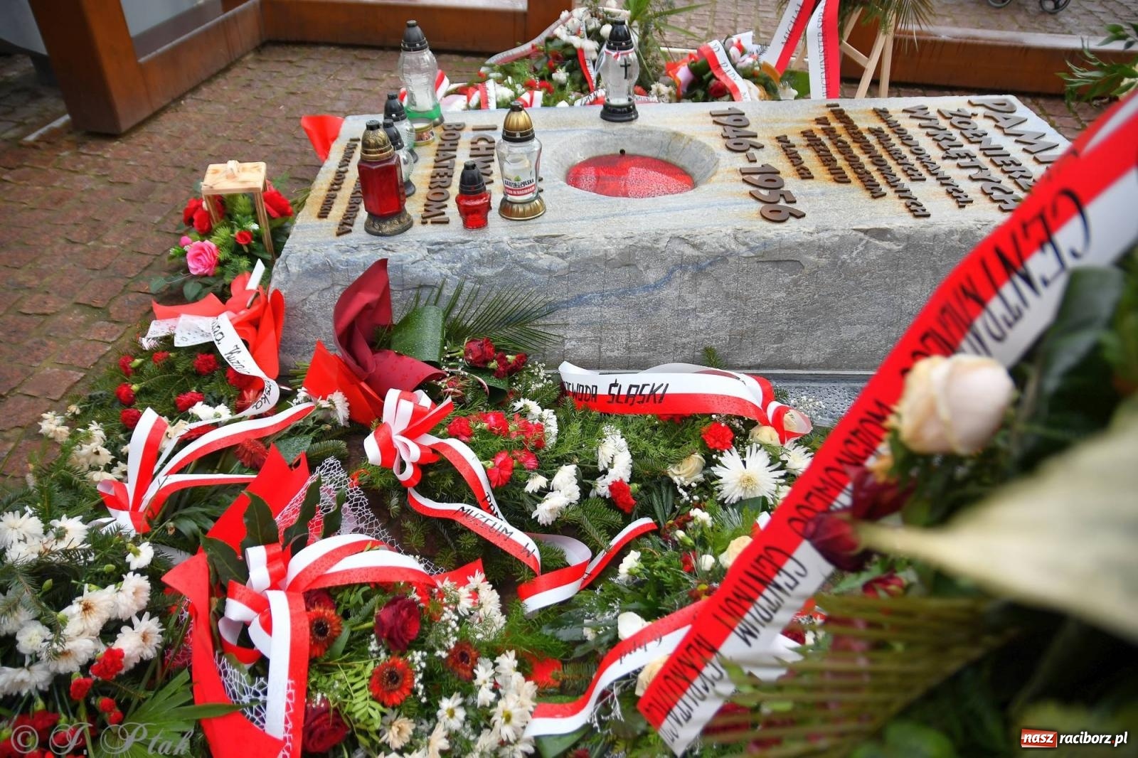 Zdjęcie w galerii na portalu naszraciborz.pl: Tropem Wilczym - Bieg Pamięci Żołnierzy Wyklętych w Raciborzu [FOTO i WIDEO] wiadomości z regionu