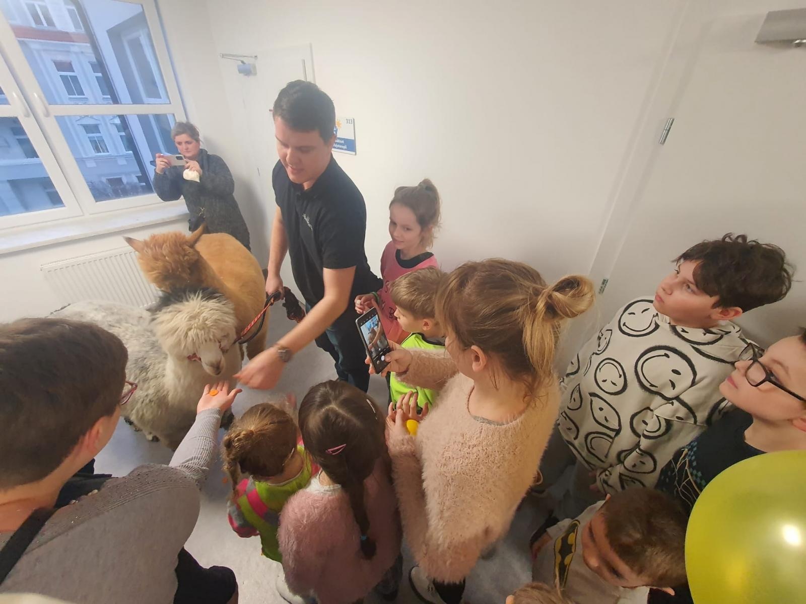 Zdjęcie w galerii na portalu naszraciborz.pl: Spacer z alpakami po szkolnym korytarzu... wiadomości z regionu
