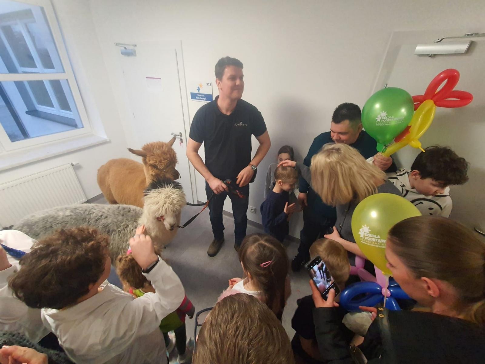 Zdjęcie w galerii na portalu naszraciborz.pl: Spacer z alpakami po szkolnym korytarzu... wiadomości z regionu