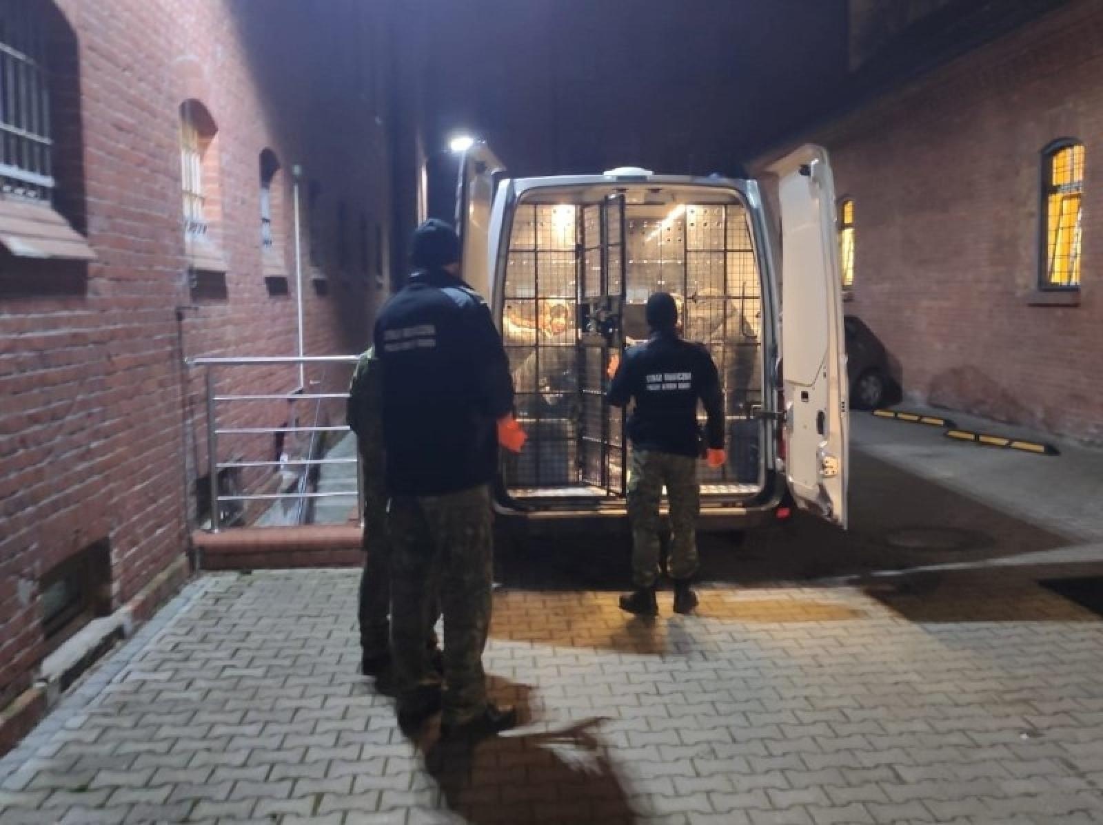 Zdjęcie w galerii na portalu naszraciborz.pl: Śląscy pogranicznicy z Raciborza zatrzymali kuriera przewożącego ludzi [FOTO] wiadomości z regionu