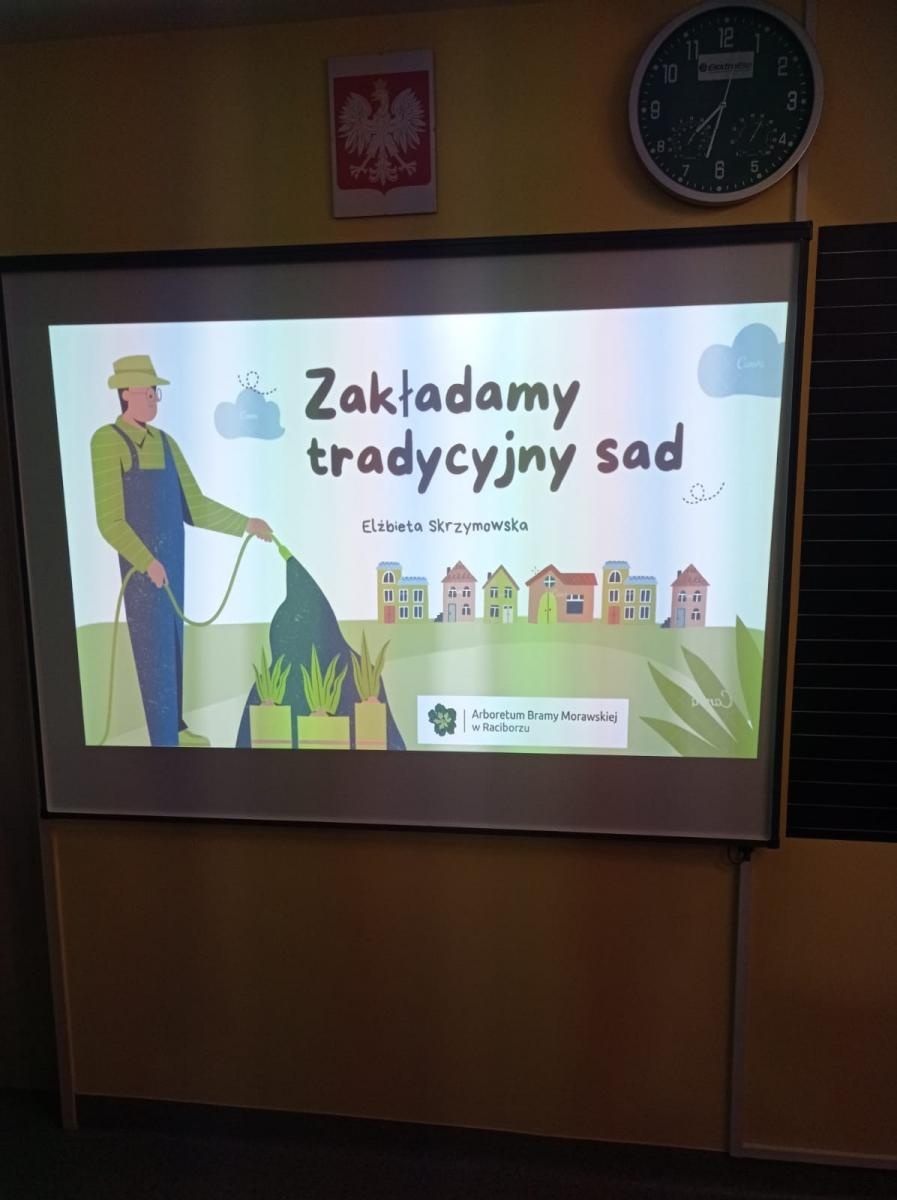 Zdjęcie w galerii na portalu naszraciborz.pl: Brzeska SP 3 w projekcie Tradycyjny sad wiadomości z regionu