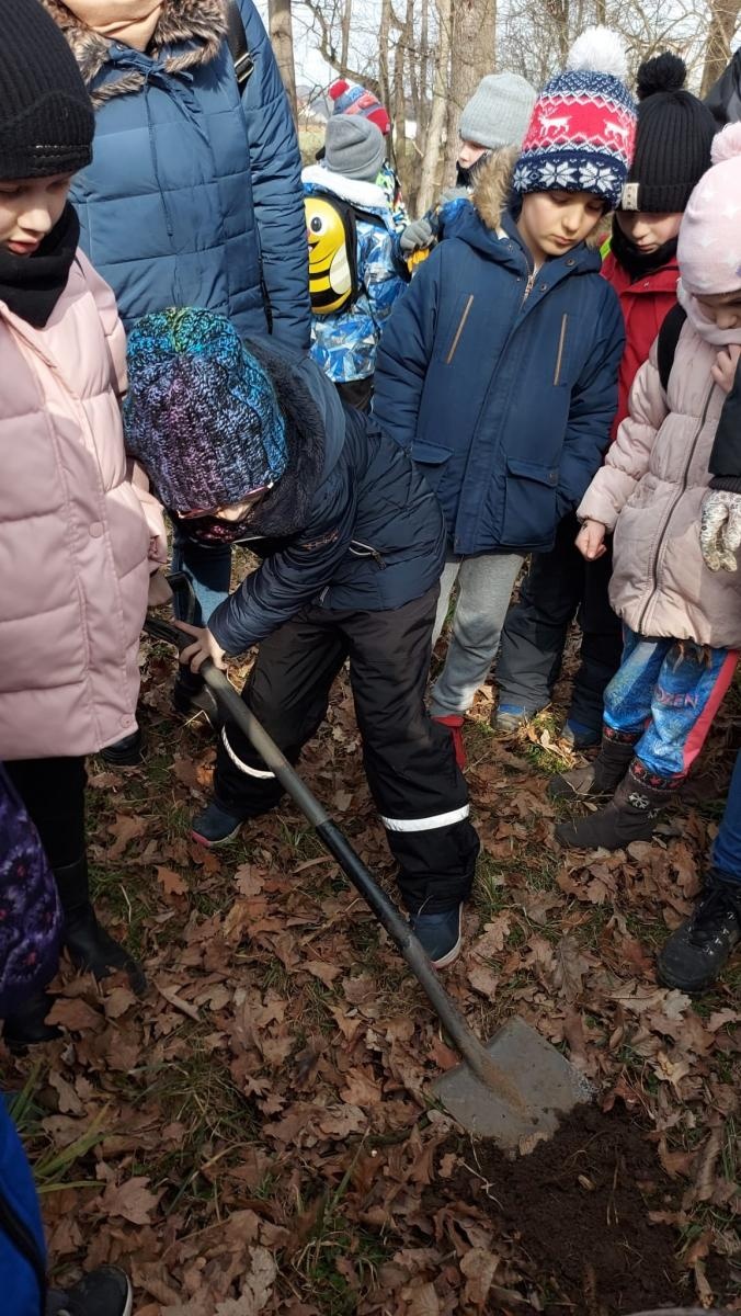 Zdjęcie w galerii na portalu naszraciborz.pl: Brzeska SP 3 w projekcie Tradycyjny sad wiadomości z regionu