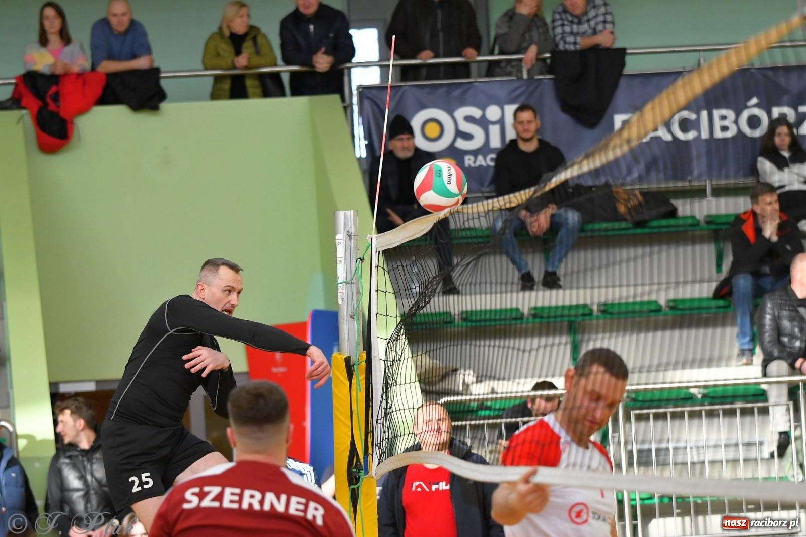 Zdjęcie w galerii na portalu naszraciborz.pl: Tokai Cobex triumfatorem siatkarskiego turnieju o puchar prezydenta wiadomości z regionu