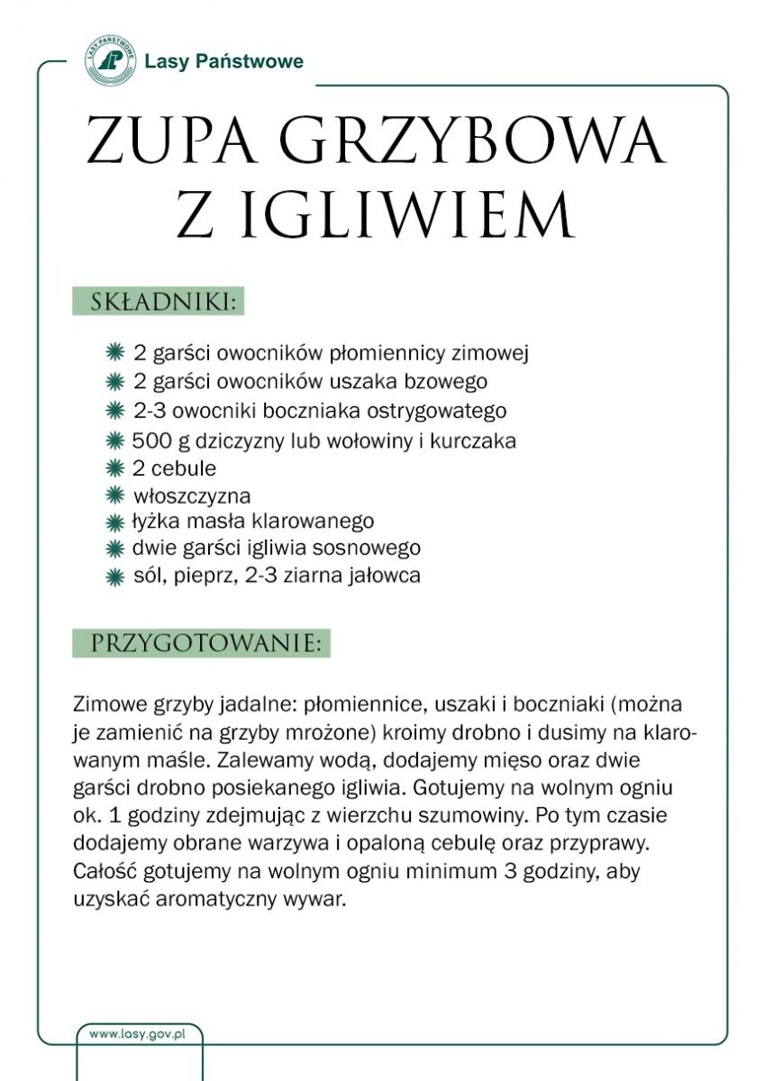 Zdjęcie w galerii na portalu naszraciborz.pl: Skarby raciborskich lasów. Miodek z igliwia wiadomości z regionu