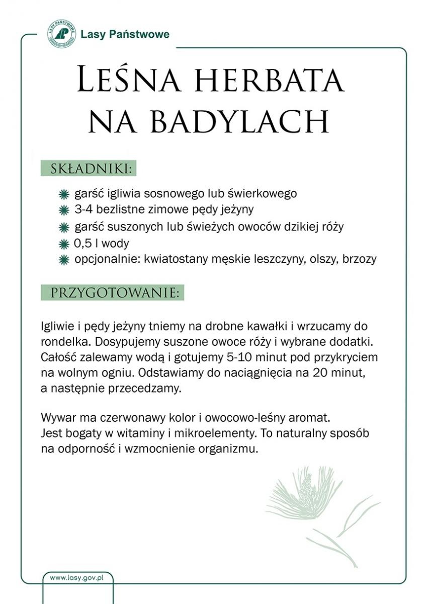 Zdjęcie w galerii na portalu naszraciborz.pl: Skarby raciborskich lasów. Miodek z igliwia wiadomości z regionu