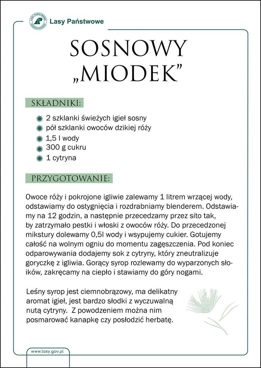 Zdjęcie w galerii na portalu naszraciborz.pl: Skarby raciborskich lasów. Miodek z igliwia wiadomości z regionu