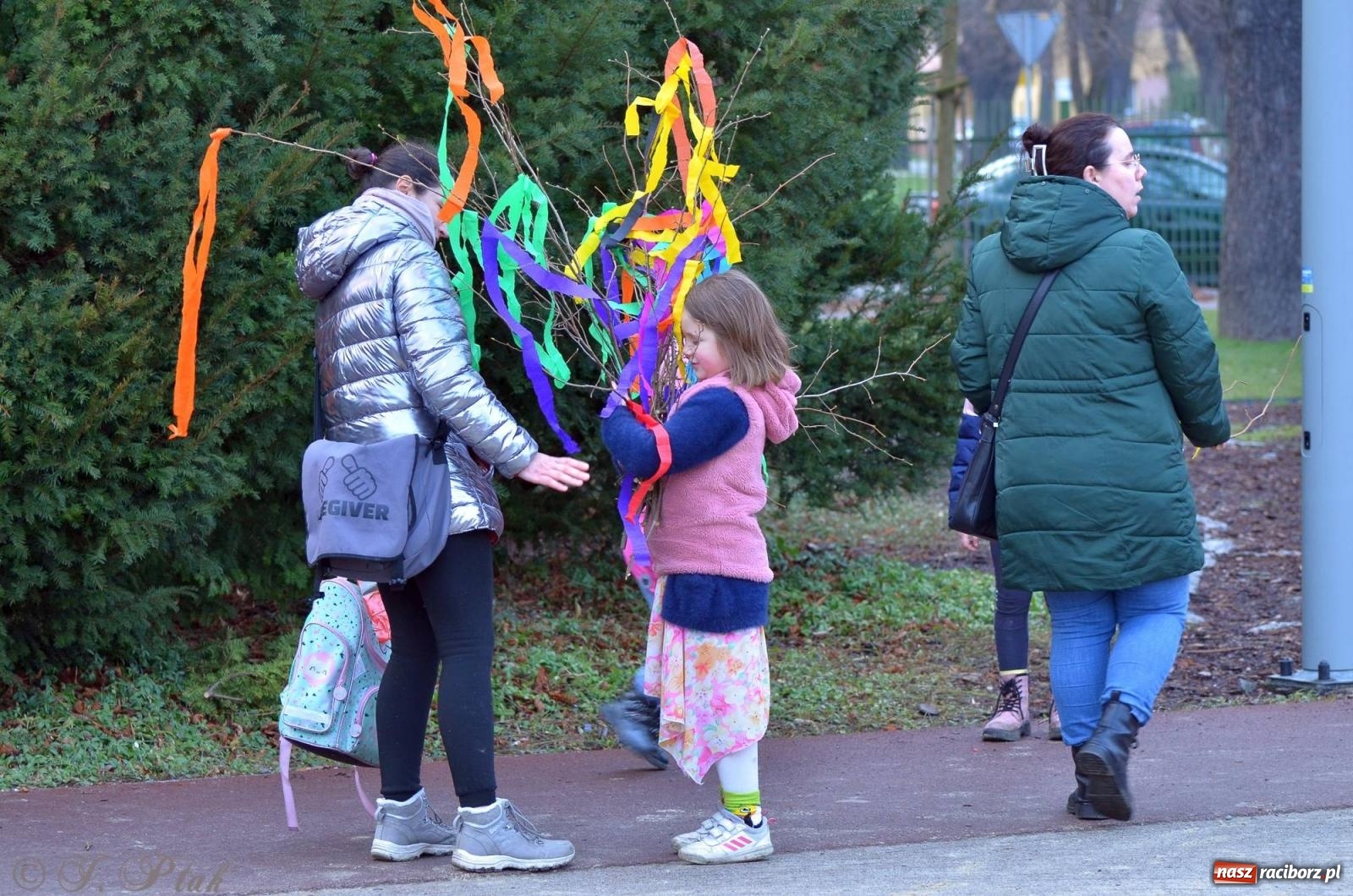 Zdjęcie w galerii na portalu naszraciborz.pl: Racibórz powitał wiosnę na Jordanie [FOTO i WIDEO] wiadomości z regionu