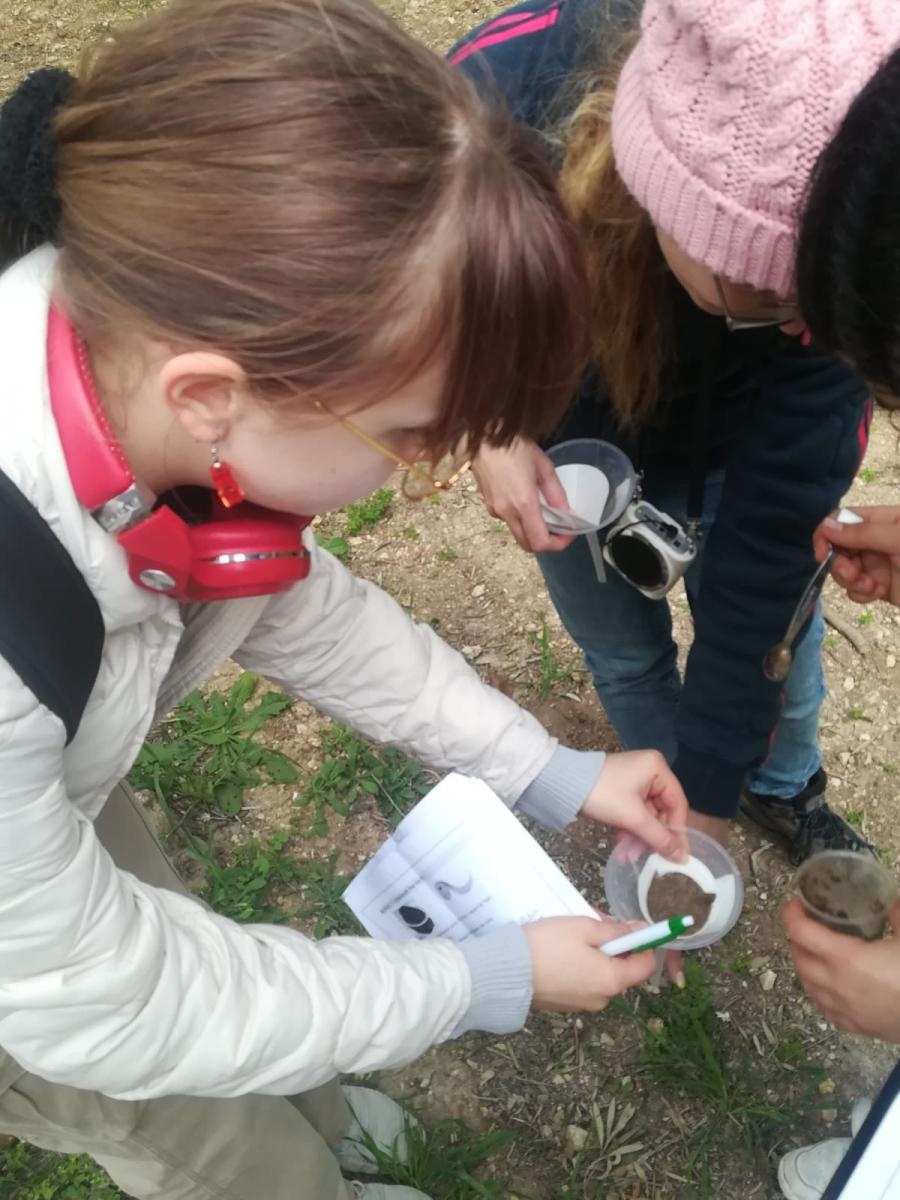 Zdjęcie w galerii na portalu naszraciborz.pl: Zagraniczne lekcje uczniów SP 1 wiadomości z regionu
