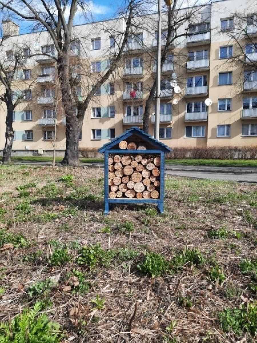 Zdjęcie w galerii na portalu naszraciborz.pl: W Raciborzu przybyło hoteli... dla owadów wiadomości z regionu