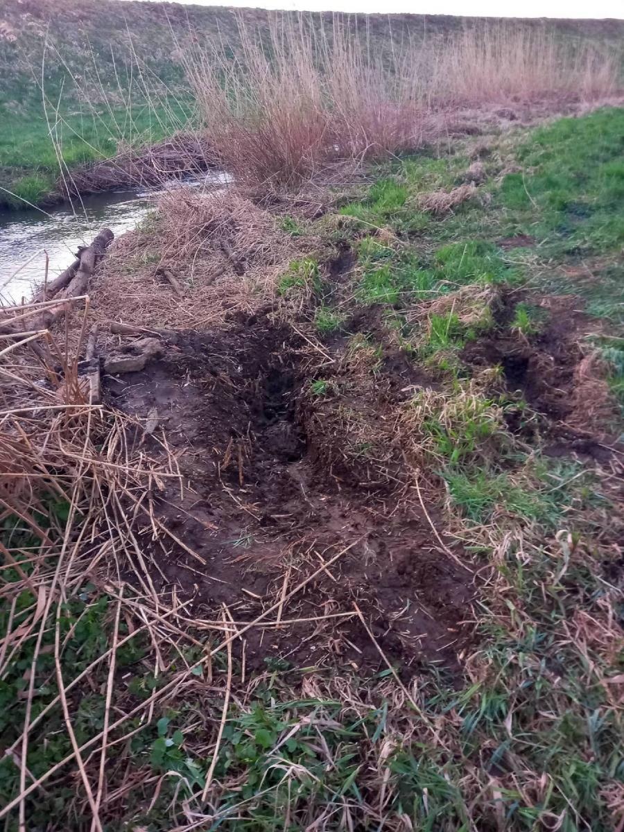 Zdjęcie w galerii na portalu naszraciborz.pl: Kto zaśmiecił Suminę? Zdjęcia czytelnika wiadomości z regionu