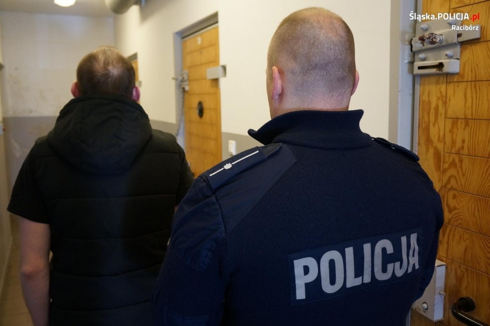 Zdjęcie w galerii na portalu naszraciborz.pl: Prawie 390 działek dilerskich marihuany nie trafi na raciborskie ulice wiadomości z regionu