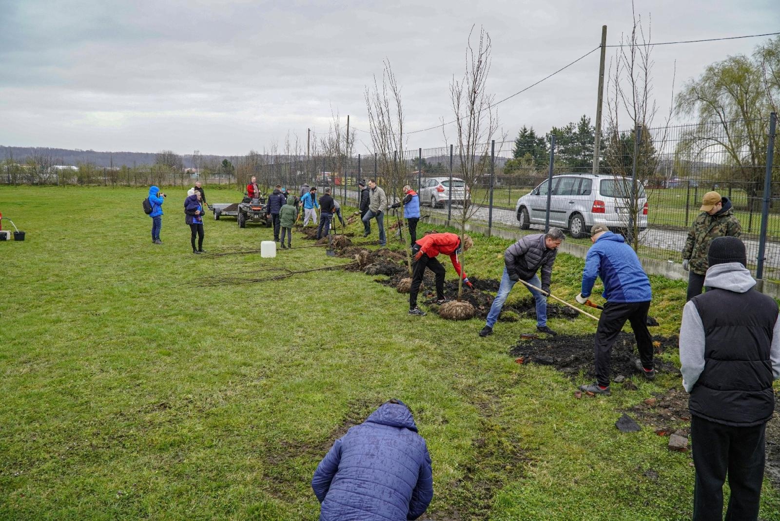 Zdjęcie w galerii na portalu naszraciborz.pl: Srebrna stała się bardziej zielona wiadomości z regionu