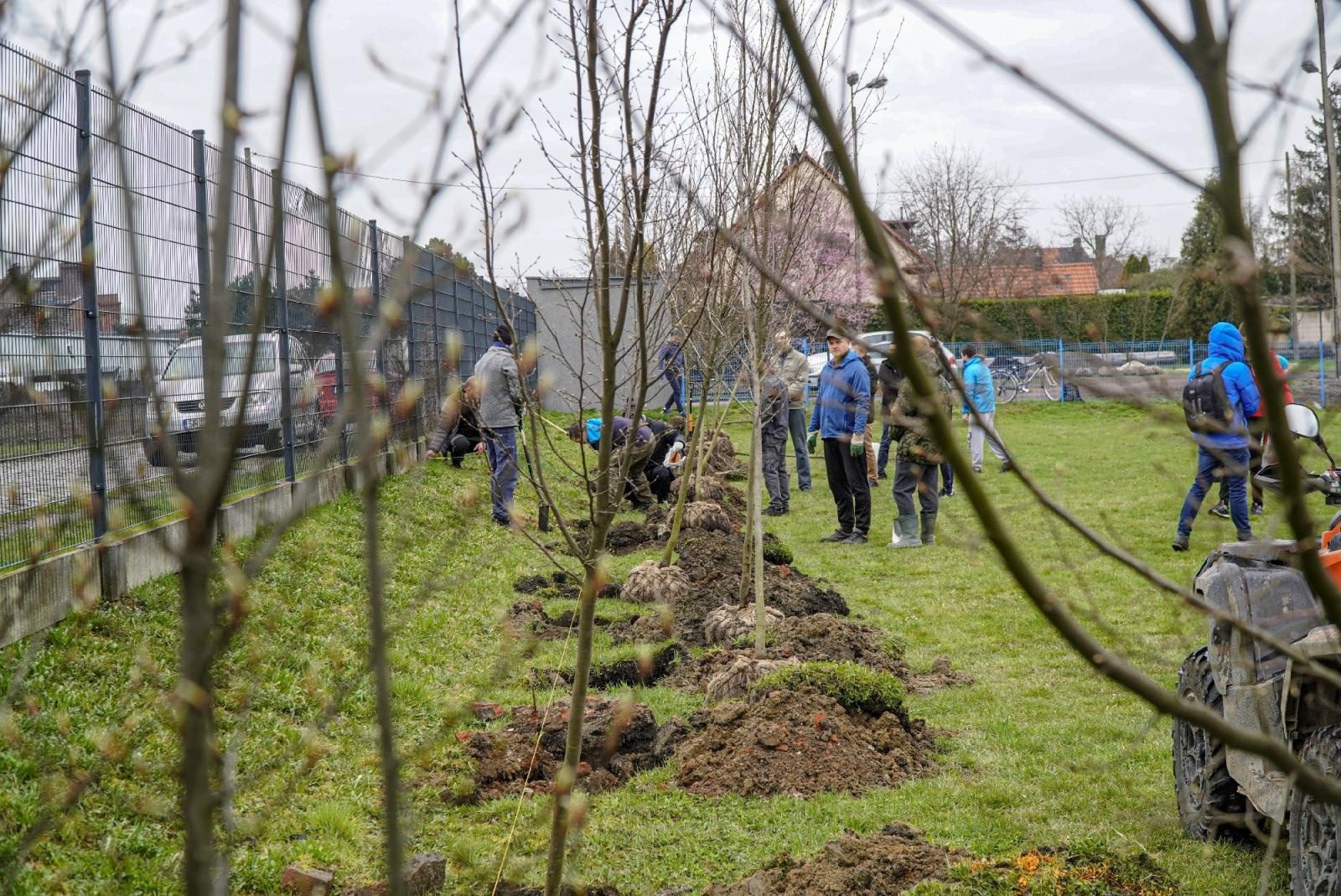 Zdjęcie w galerii na portalu naszraciborz.pl: Srebrna stała się bardziej zielona wiadomości z regionu
