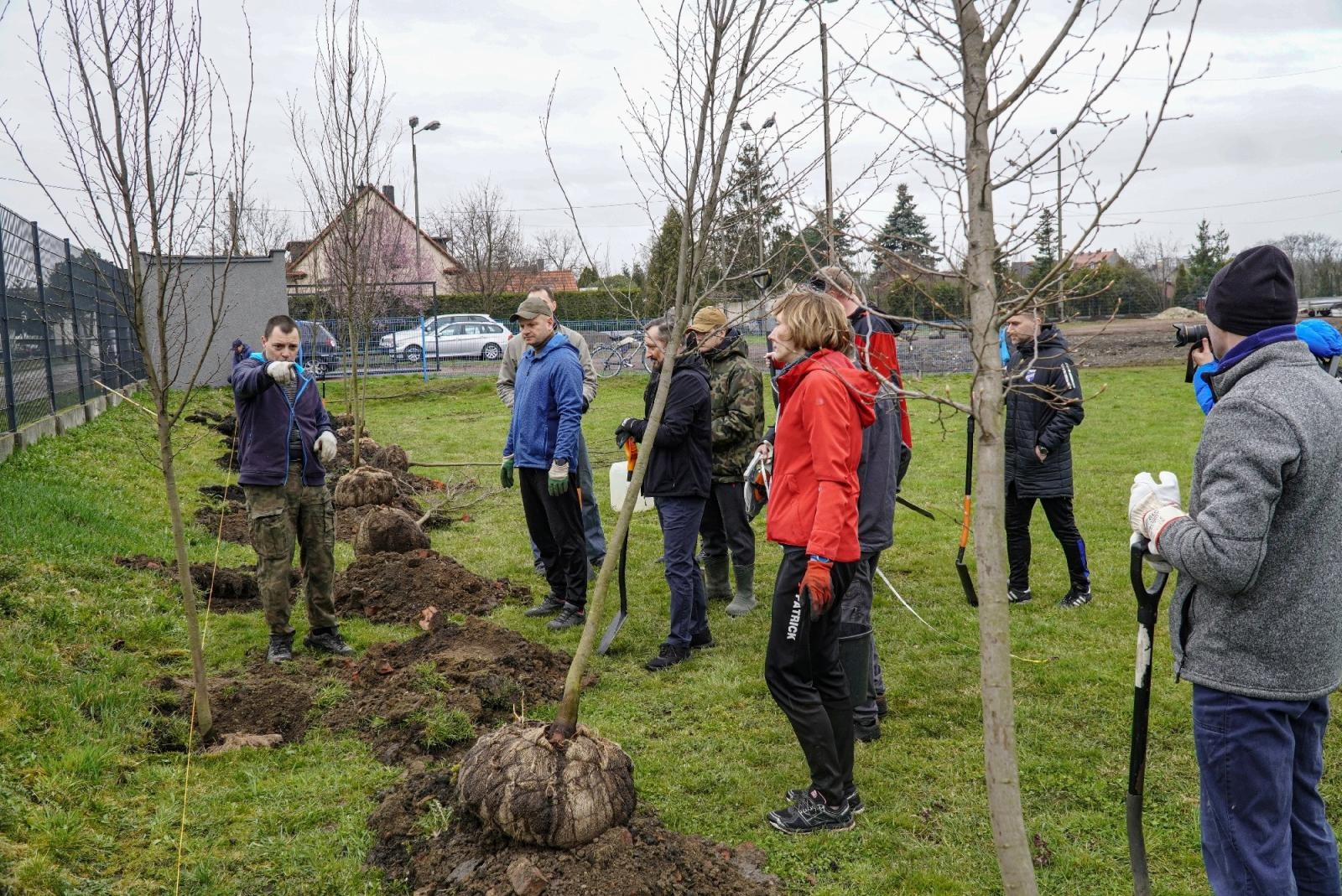 Zdjęcie w galerii na portalu naszraciborz.pl: Srebrna stała się bardziej zielona wiadomości z regionu