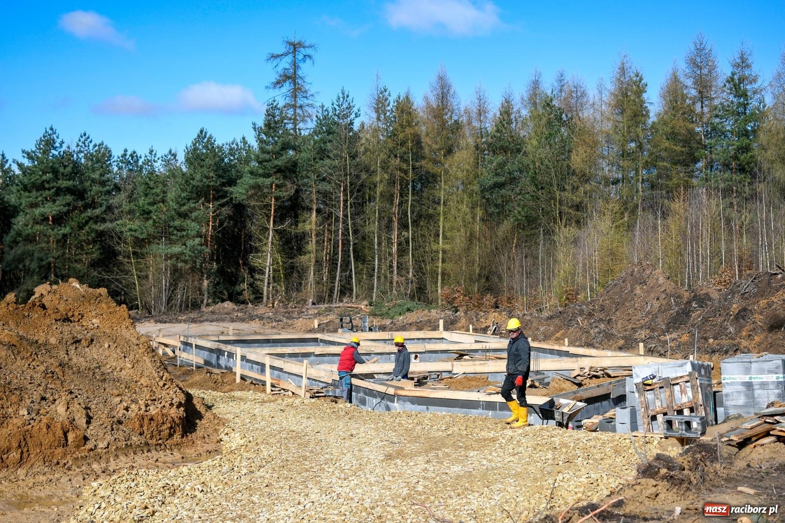 Zdjęcie w galerii na portalu naszraciborz.pl: Żubrowsko on-line. Zwierzęta, które pojawią się w Raciborzu można obejrzeć w oku kamery wiadomości z regionu