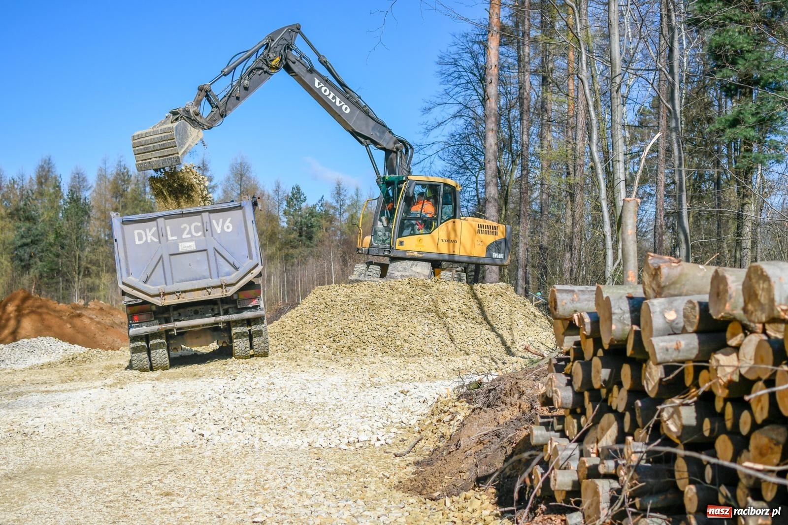 Zdjęcie w galerii na portalu naszraciborz.pl: Żubrowsko on-line. Zwierzęta, które pojawią się w Raciborzu można obejrzeć w oku kamery wiadomości z regionu