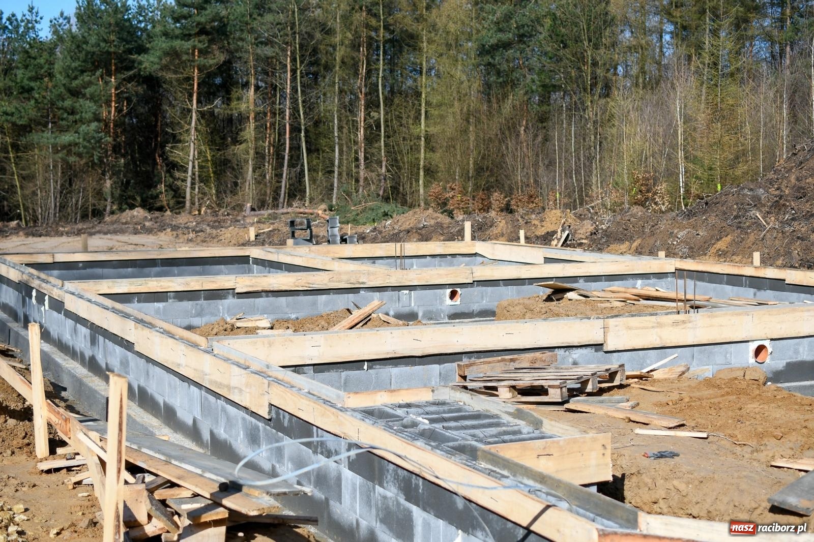 Zdjęcie w galerii na portalu naszraciborz.pl: Żubrowsko on-line. Zwierzęta, które pojawią się w Raciborzu można obejrzeć w oku kamery wiadomości z regionu