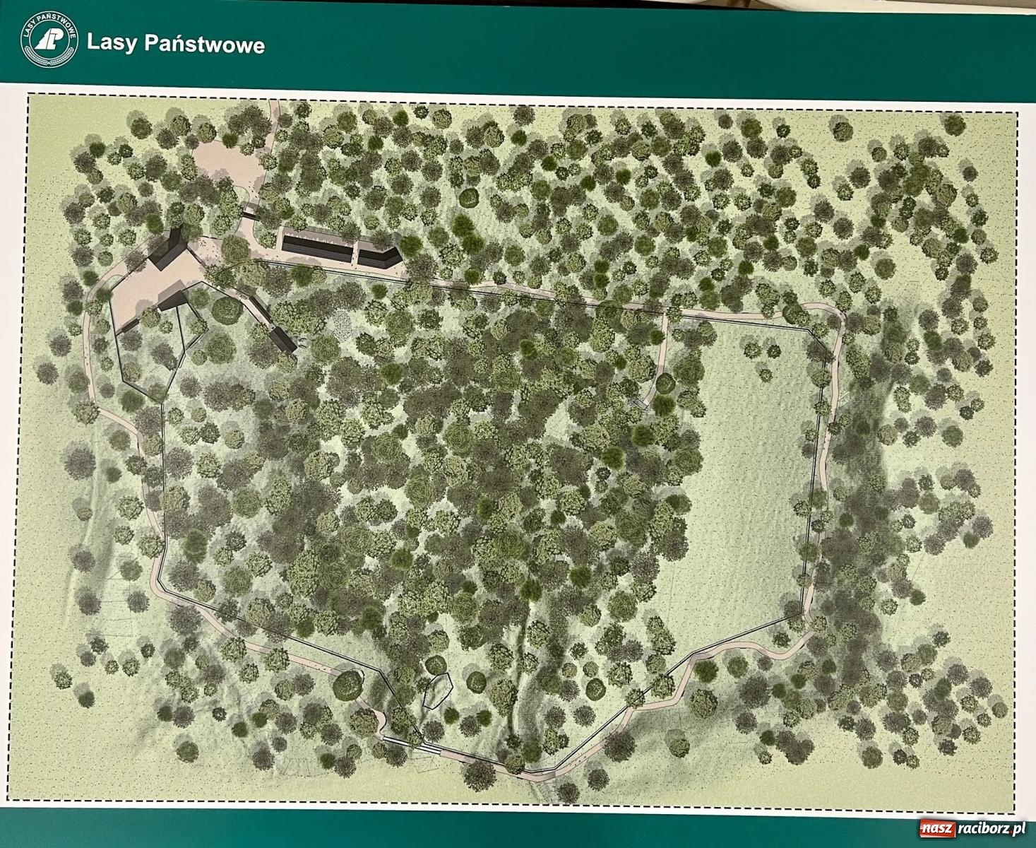 Zdjęcie w galerii na portalu naszraciborz.pl: Żubrowsko on-line. Zwierzęta, które pojawią się w Raciborzu można obejrzeć w oku kamery wiadomości z regionu