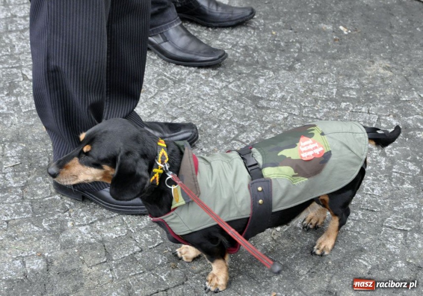 Zdjęcie w galerii na portalu naszraciborz.pl: Najpierw huk, a potem już liczenie wiadomości z regionu