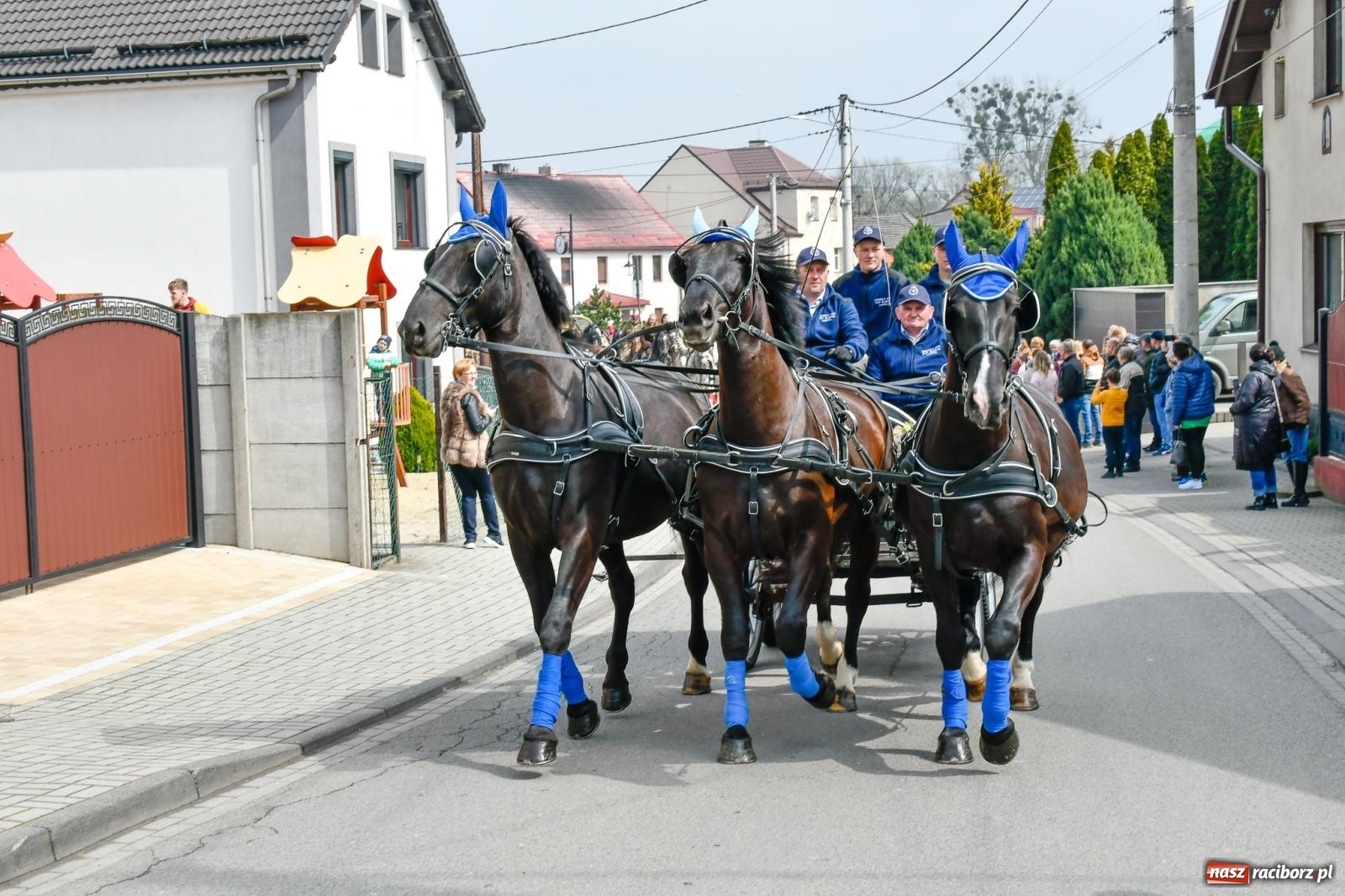 Zdjęcie w galerii na portalu naszraciborz.pl: Procesja wielkanocna w Pietrowicach Wielkich. Obrzęd religijny i dziedzictwo kulturowe [FOTO i WIDEO] wiadomości z regionu