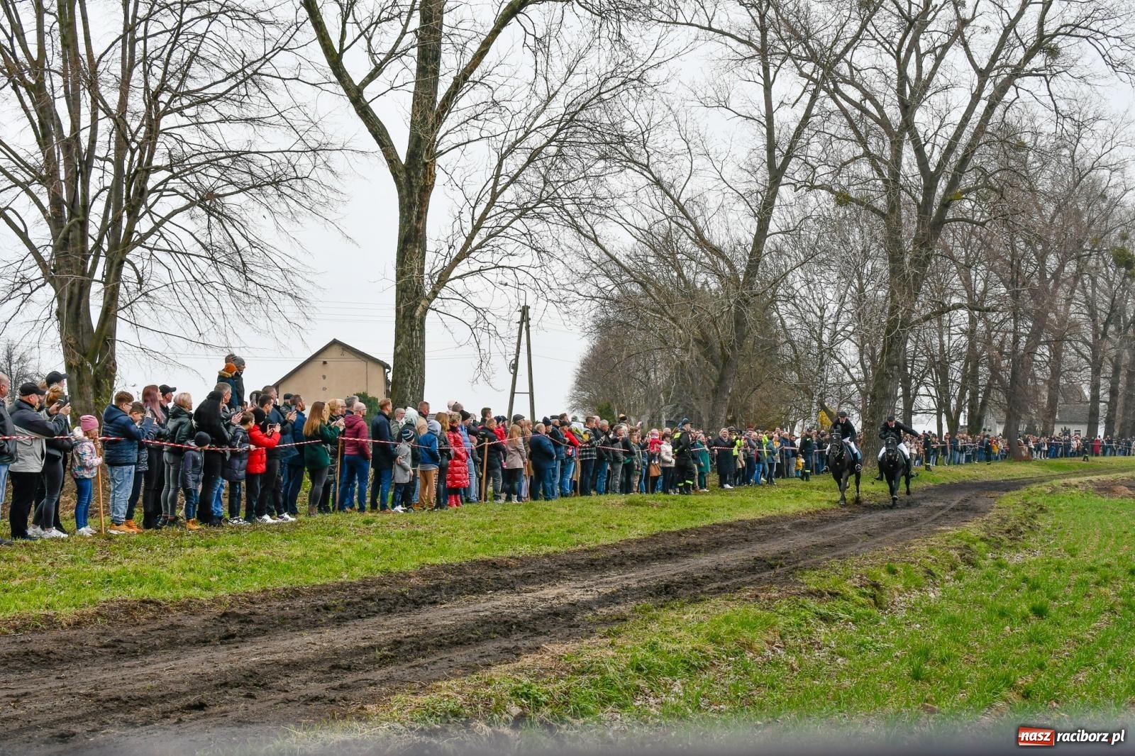Zdjęcie w galerii na portalu naszraciborz.pl: Wyścigi na finał bieńkowickiej procesji konnej [FOTO i WIDEO] wiadomości z regionu