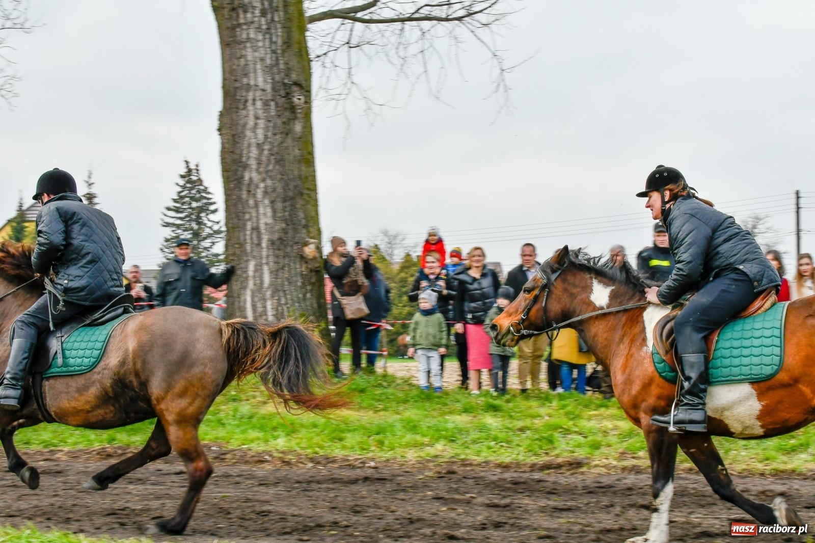Zdjęcie w galerii na portalu naszraciborz.pl: Wyścigi na finał bieńkowickiej procesji konnej [FOTO i WIDEO] wiadomości z regionu