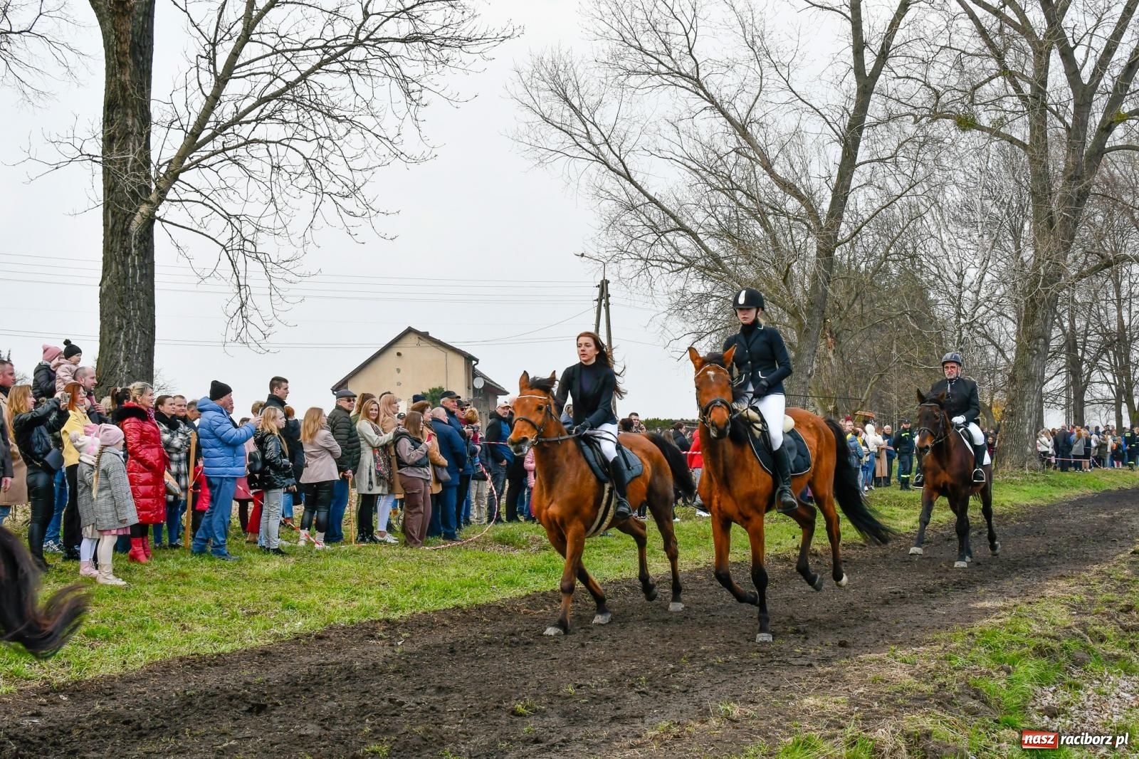 Zdjęcie w galerii na portalu naszraciborz.pl: Wyścigi na finał bieńkowickiej procesji konnej [FOTO i WIDEO] wiadomości z regionu