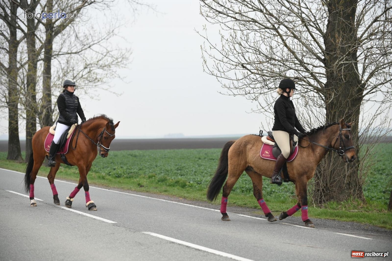 Zdjęcie w galerii na portalu naszraciborz.pl: Parada konna w Pietrowicach Wielkich [FOTO] wiadomości z regionu