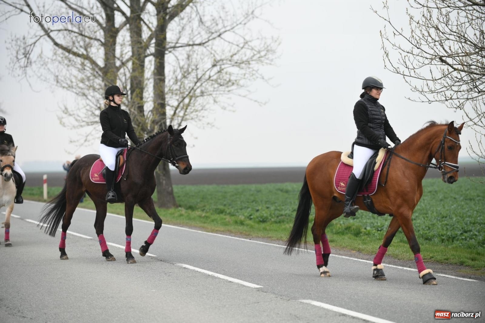 Zdjęcie w galerii na portalu naszraciborz.pl: Parada konna w Pietrowicach Wielkich [FOTO] wiadomości z regionu