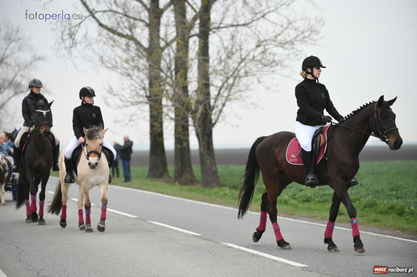 Zdjęcie w galerii na portalu naszraciborz.pl: Parada konna w Pietrowicach Wielkich [FOTO] wiadomości z regionu