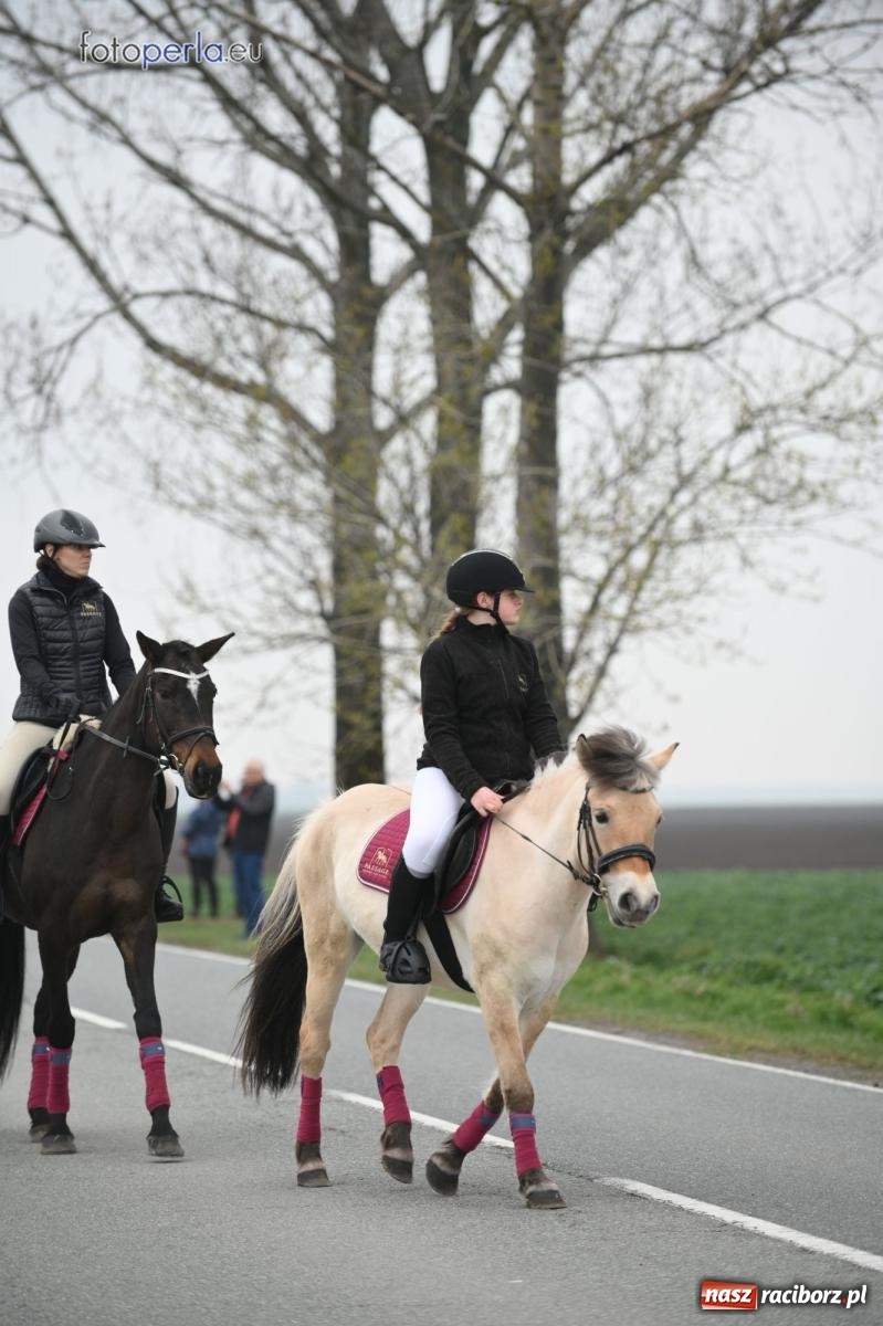 Zdjęcie w galerii na portalu naszraciborz.pl: Parada konna w Pietrowicach Wielkich [FOTO] wiadomości z regionu