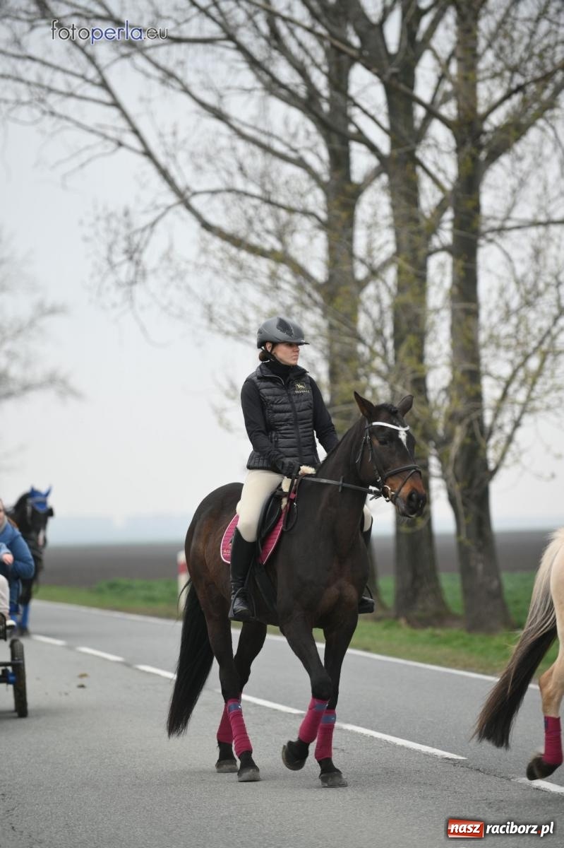 Zdjęcie w galerii na portalu naszraciborz.pl: Parada konna w Pietrowicach Wielkich [FOTO] wiadomości z regionu