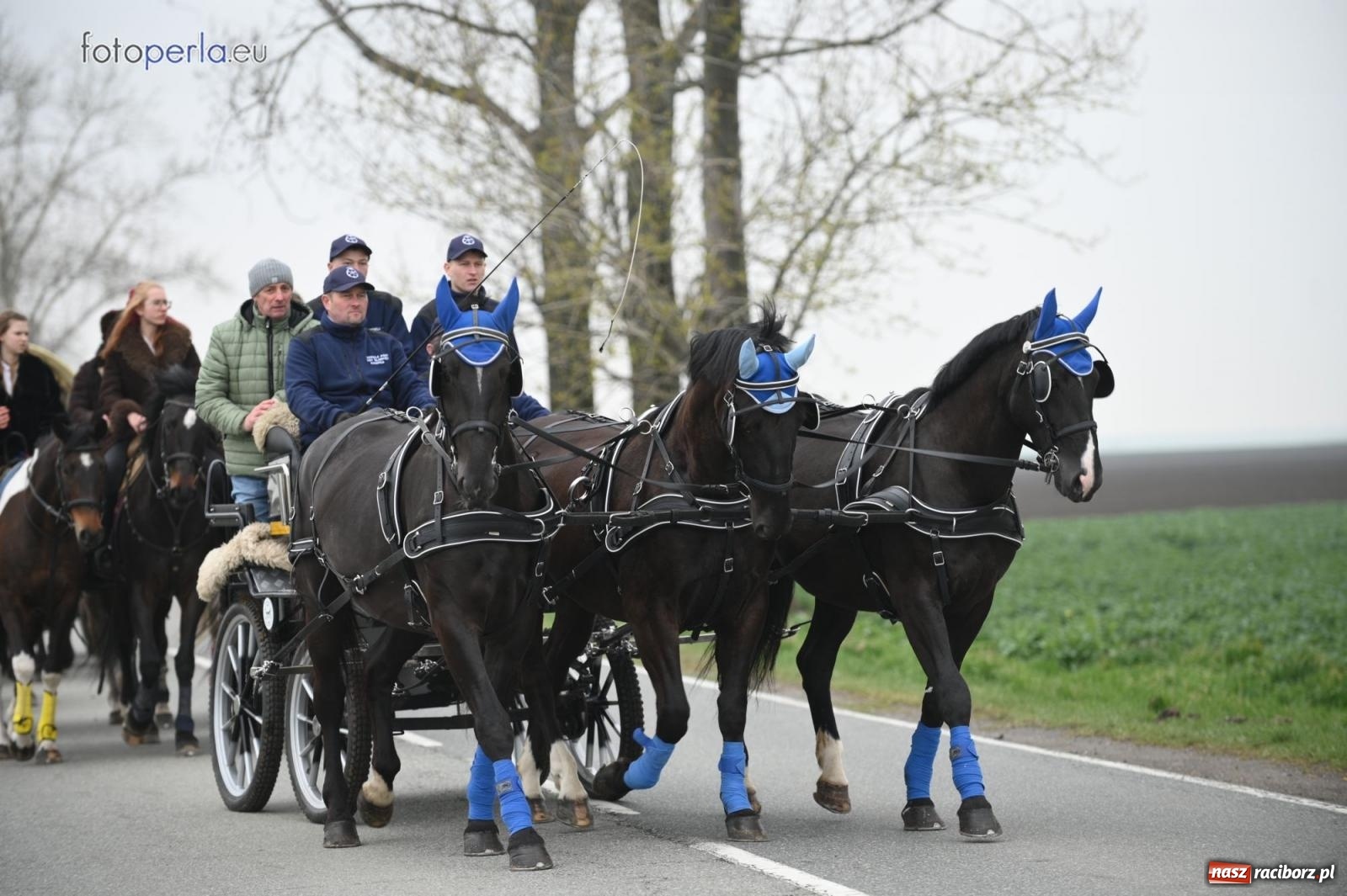 Zdjęcie w galerii na portalu naszraciborz.pl: Parada konna w Pietrowicach Wielkich [FOTO] wiadomości z regionu